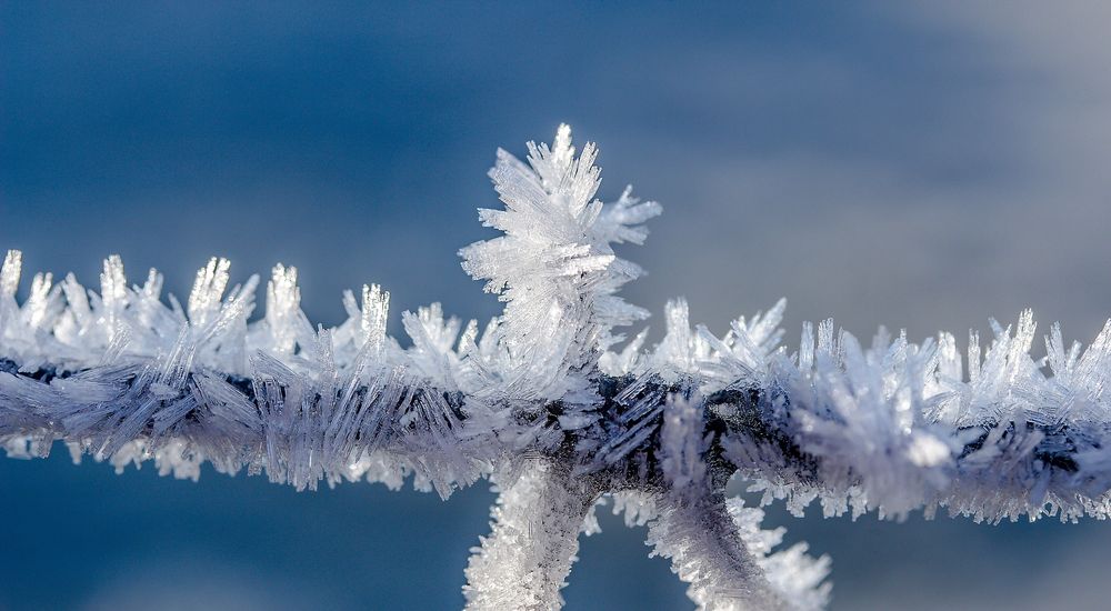 『霜』の付く季語 一覧 – 季節の美しい言葉