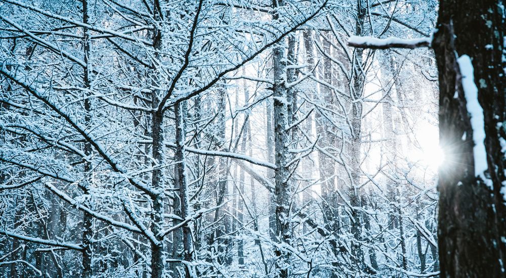 『冬』の付く季語 一覧 – 季節の美しい言葉