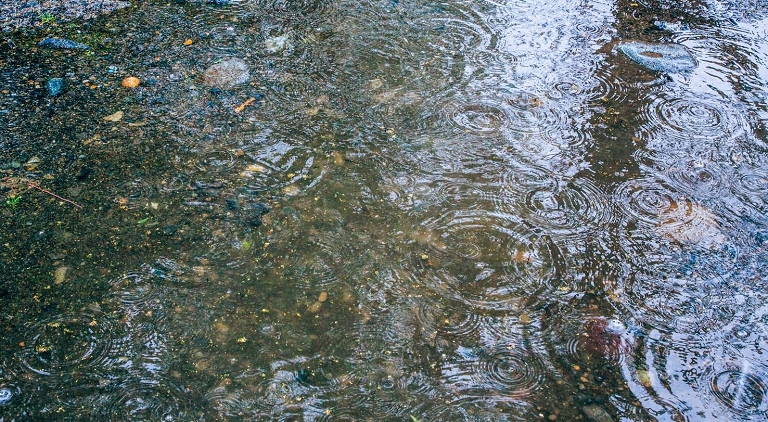 『雨』にまつわる美しい言葉集