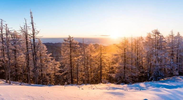 冬といえば何？日本の冬の風物詩109選｜行事・縁起物・食べ物・年末年始の言葉一覧