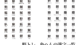一覧 魚の 漢字 魚へんの漢字の一覧表！名前の由来・読み方・覚え方とともに紹介！