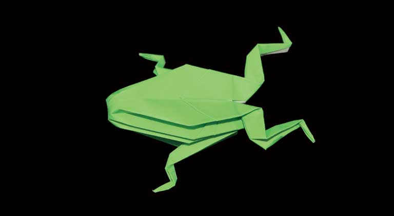 Papper Frog Tutorial: Create a Beautiful Paper Frog in Simple Steps