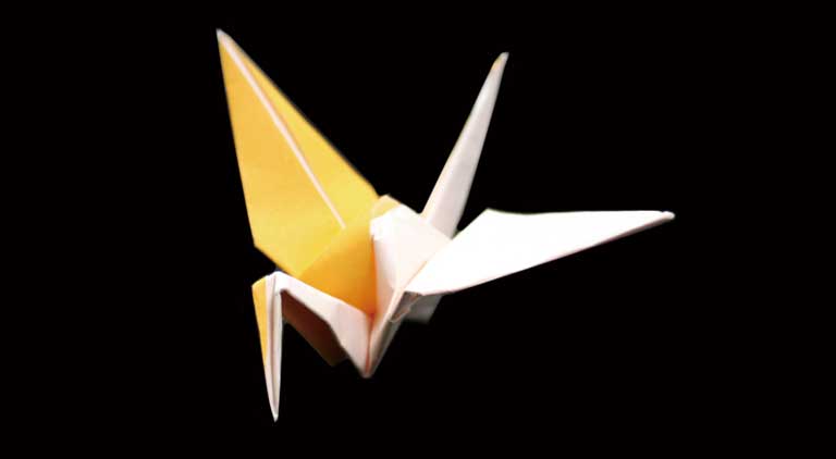 Origami 2 Colors Crane Tutorial – Elegant Dual-Tone Paper Craft for Beginners