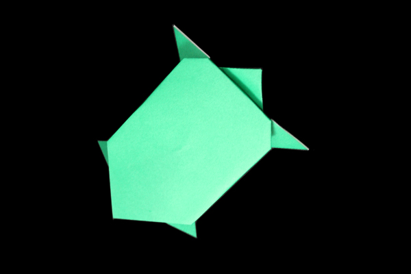 Turtle Type-2 | 100 Easy origami instructions and diagram