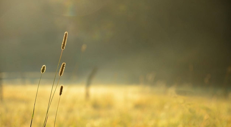 Harnessing Self-Worth and Positive Self-Talk