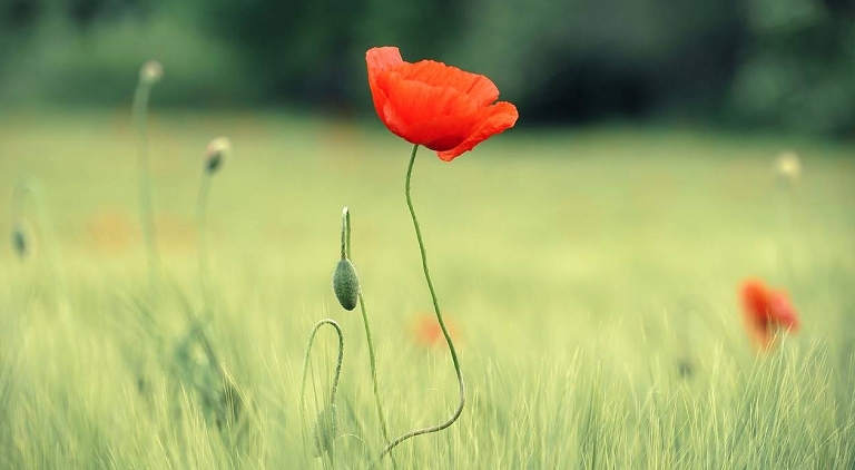 The Importance of Affirmations and Self-Improvement
